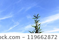 藍天風景攝影 119662872