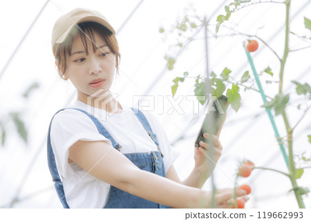 Young woman managing crops using digital device 119662993