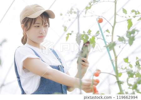 Young woman managing crops using digital device 119662994