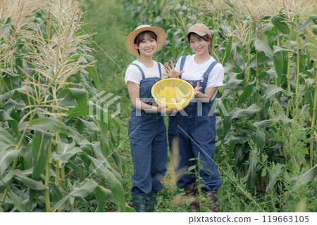 年輕婦女站著收穫的蔬菜 年輕婦女站著收穫的蔬菜 119663105
