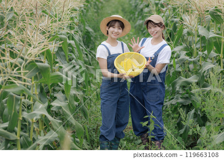 年輕婦女站著收穫的蔬菜 年輕婦女站著收穫的蔬菜 119663108