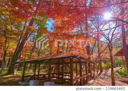 Tenkorin and gazebo in Shosenkyo Gorge in autumn, Kofu, Yamanashi Prefecture 119663403