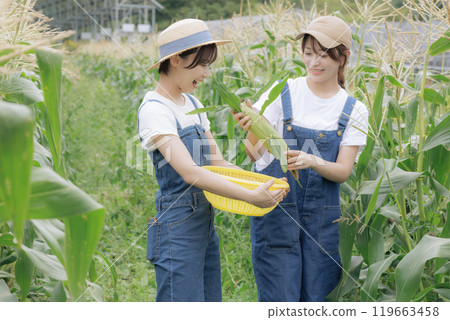 年輕婦女收穫蔬菜 119663458