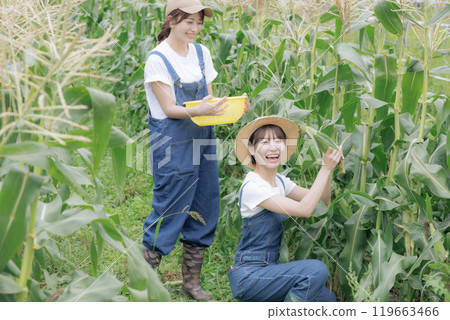 Young women harvesting vegetables Young women harvesting vegetables 119663466