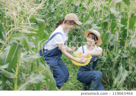 年輕婦女收穫蔬菜 119663468