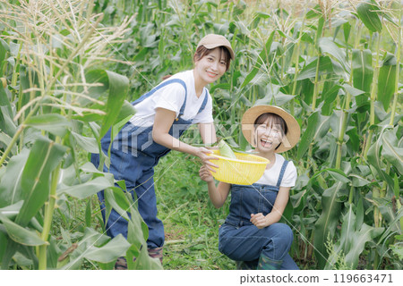 Young women harvesting vegetables Young women harvesting vegetables 119663471
