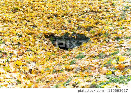 travel beautiful stone landscape outdoor view nature cave green forest park tourism architecture 119663617