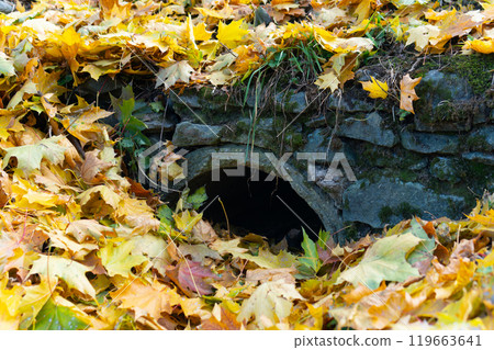 landscape green travel stone cave park tourism architecture beautiful outdoor view nature forest 119663641