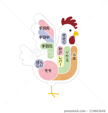 Illustrations of chicken parts 119663648