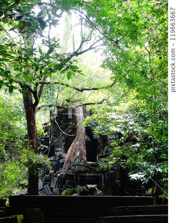 【柬埔寨】樹木覆蓋的Ben Melia遺址（暹粒） 119663667