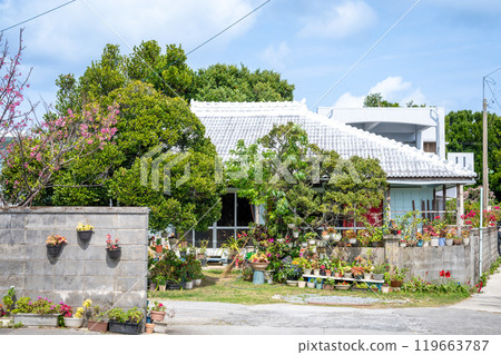 沖繩本島 119663787