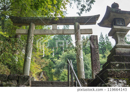 Gifu Prefecture, Torii gate and night light of Kumano Shrine on the old Nakasendo road / Magome, Nakatsugawa City Gifu Prefecture, Torii gate and night light of Kumano Shrine on the old Nakasendo road / Magome, Nakatsugawa City 119664143