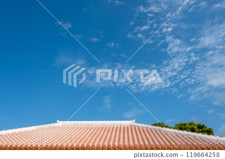 Okinawa Main Island 119664258