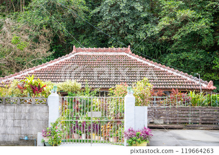 Okinawa Main Island Okinawa Main Island 119664263