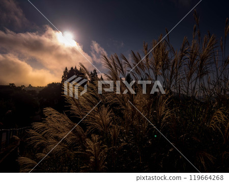 燈光在秋風中搖曳 燈光在秋風中搖曳 119664268