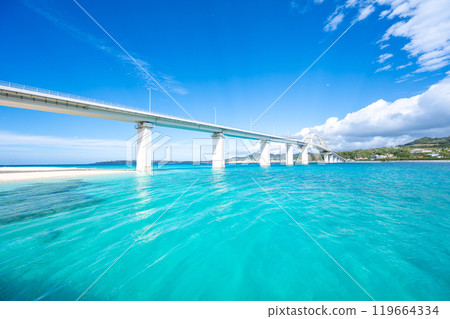 Okinawa Main Island 119664334