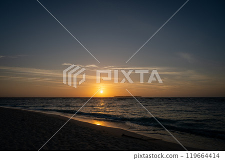 Okinawa Main Island Okinawa Main Island 119664414