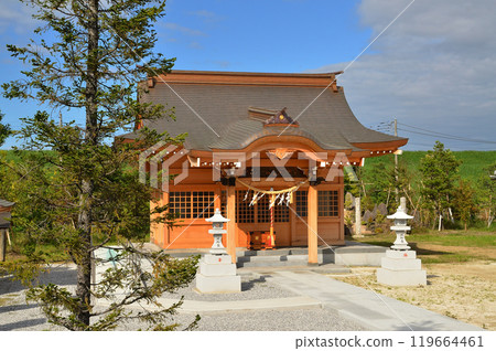 埼玉縣行田市下中條美麗的晴子神社 埼玉縣行田市下中條美麗的晴子神社 119664461