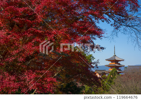 The three-storied pagoda and autumn leaves of Kiyomizu-dera Temple in Kyoto 119664676
