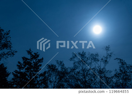 Full moon seen from the forest Full moon seen from the forest 119664855