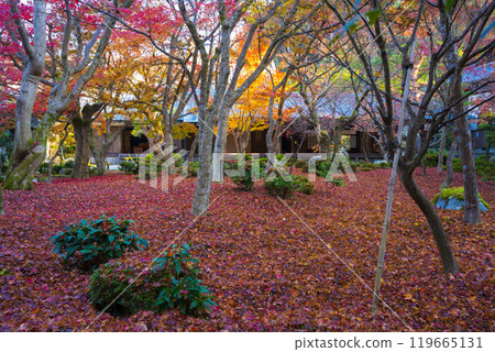京都深秋Enkoji寺秋葉 119665131