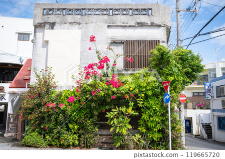 沖繩本島 119665720