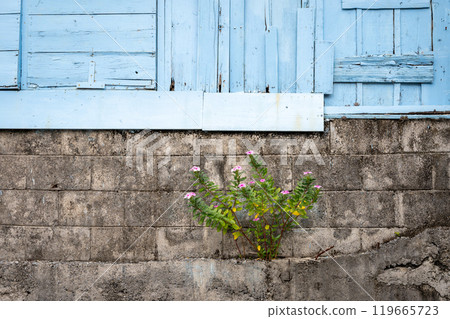 沖繩本島 119665723