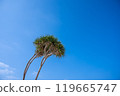 Okinawa Main Island 119665747