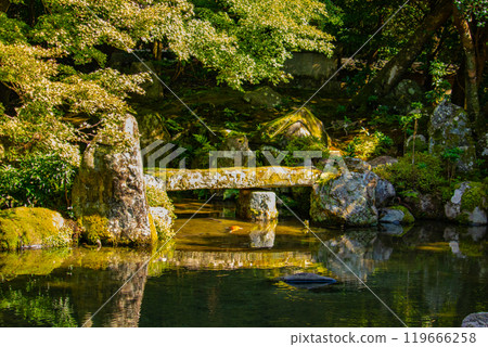 [Kyoto Scenery] Rengeji Temple: A quiet pond-style ornamental garden in northern Kyoto 119666258