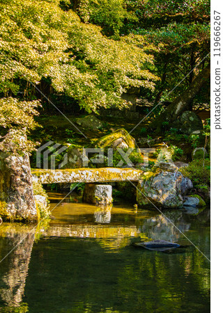 [Kyoto Scenery] Rengeji Temple: A quiet pond-style ornamental garden in northern Kyoto 119666267