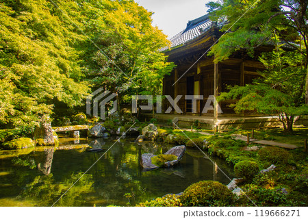 【京都風景】蓮華寺、洛北幽靜的池塘式庭園 【京都風景】蓮華寺、洛北幽靜的池塘式庭園 119666271