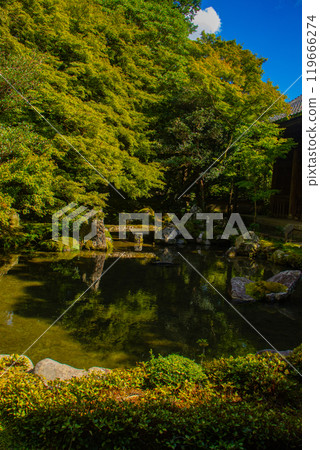 【京都風景】蓮華寺、洛北幽靜的池塘式庭園 【京都風景】蓮華寺、洛北幽靜的池塘式庭園 119666274
