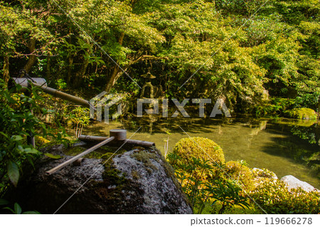 [Kyoto Scenery] Rengeji Temple: A quiet pond-style ornamental garden in northern Kyoto 119666278