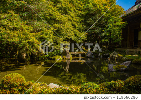 [Kyoto Scenery] Rengeji Temple: A quiet pond-style ornamental garden in northern Kyoto 119666280