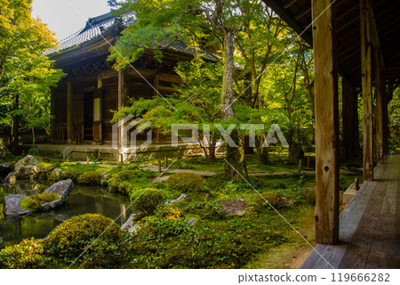 【京都風景】蓮華寺、洛北幽靜的池塘式庭園 【京都風景】蓮華寺、洛北幽靜的池塘式庭園 119666282