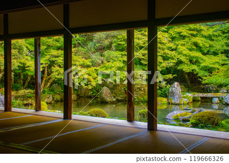 【京都風景】蓮華寺、洛北幽靜的池塘式庭園 119666326
