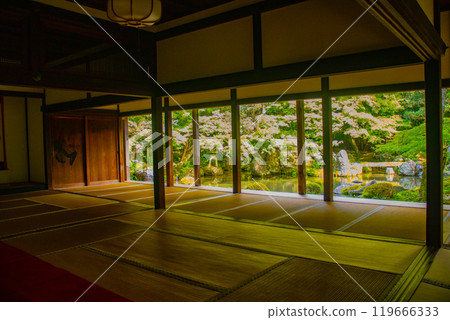 【京都風景】蓮華寺、洛北幽靜的池塘式庭園 【京都風景】蓮華寺、洛北幽靜的池塘式庭園 119666333