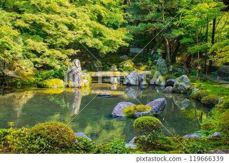 [Kyoto Scenery] Rengeji Temple: A quiet pond-style ornamental garden in northern Kyoto 119666339