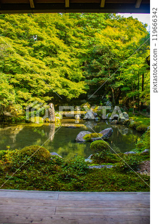 [Kyoto Scenery] Rengeji Temple: A quiet pond-style ornamental garden in northern Kyoto 119666342
