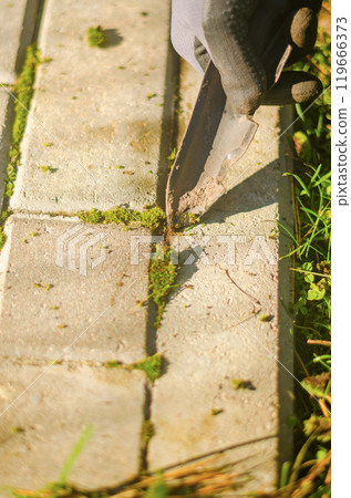 Removing moss from patio tile joints with a trowel in sunlight. High quality photo Removing moss from patio tile joints with a trowel in sunlight. High quality photo 119666373
