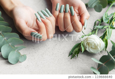 Elegant hands with long green nails surrounded by greenery and a white rose on a neutral surface 119666640