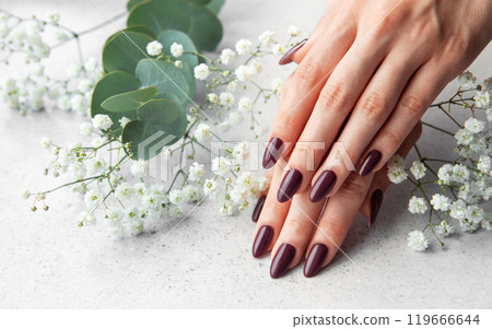 Elegant manicure with deep burgundy nails surrounded by delicate white flowers on a soft surface Elegant manicure with deep burgundy nails surrounded by delicate white flowers on a soft surface 119666644