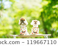A dog basking in the sunlight of fresh greenery 119667110