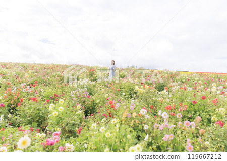 A woman happily strolling through a flower field 119667212