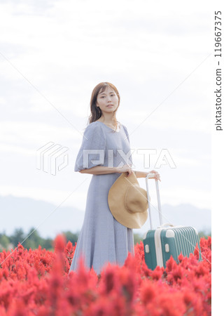 A woman standing in a cosmos field 119667375