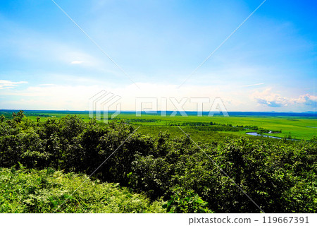 從北海道細岡展望台看到的釧路濕原 119667391