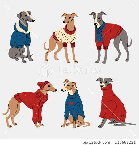 Set of greyhound dogs in clothes. Vector graphics. 119668221