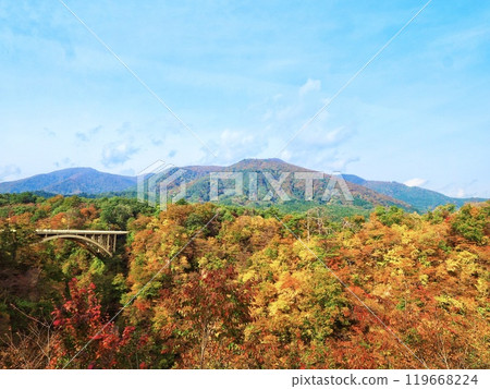 秋天的天氣和秋天的樹葉，秋天的圖像素材 119668224