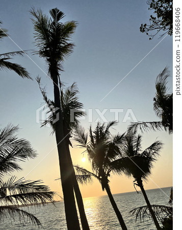 Okinawa beach and palm trees 119668406