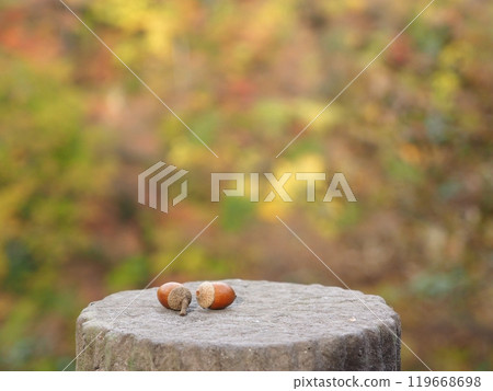 秋天的影像素材、橡實和秋葉 秋天的影像素材、橡實和秋葉 119668698